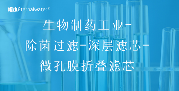 生物制药工业-除菌过滤-深层滤芯-微孔膜折叠滤芯