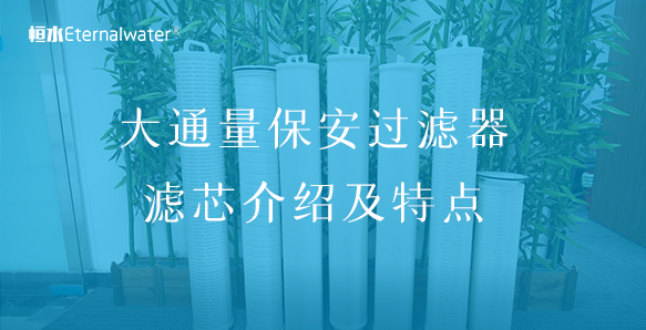 大通量保安过滤器滤芯介绍及特点