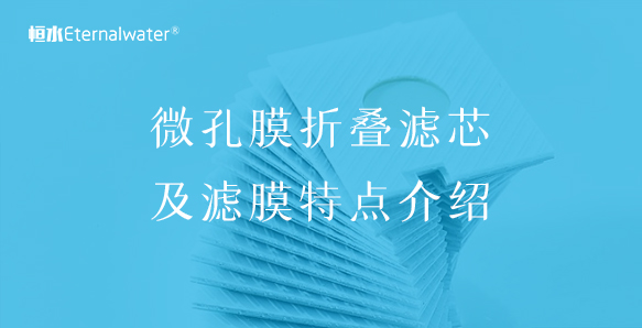 微孔膜折叠滤芯及滤膜特点介绍