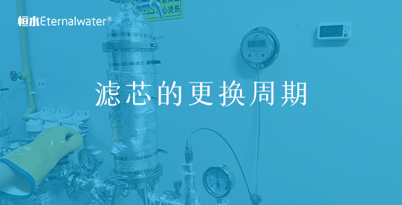 滤芯的更换周期