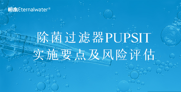 除菌过滤器PUPSIT实施要点及风险评估